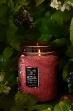 Voluspa - Foraged Wildberry Large Jar Candle