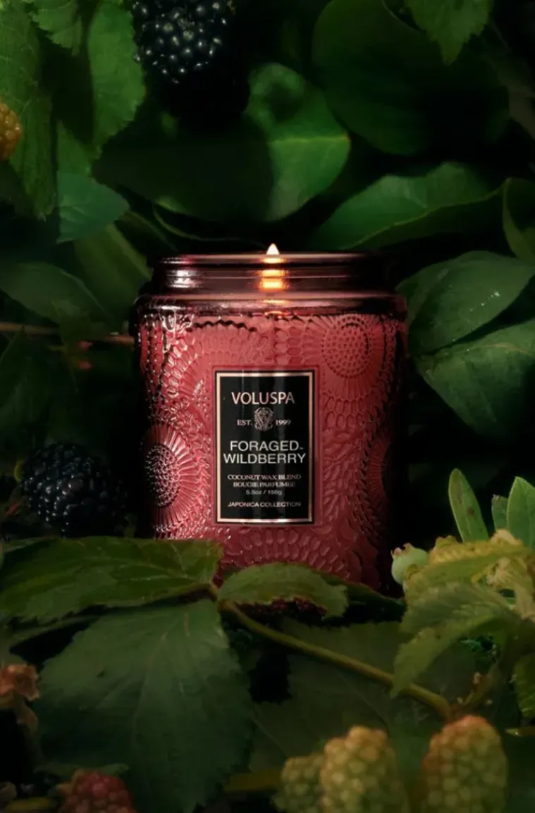 Voluspa - Foraged Wildberry Small Jar Candle