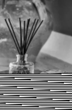 Voluspa - Mini Tin Candle 113 g- California Summer