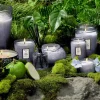 Voluspa - Ultrasonic Diffuser Fragrance Oil Apple Blue Clover